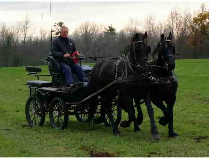 Horse drawn carriage ride for up to 4 people from Middlebrook Friesian Farm