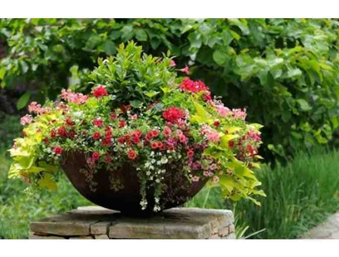 Large decorative container planting, personalized to your space and preference.