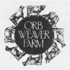Orb Weaver