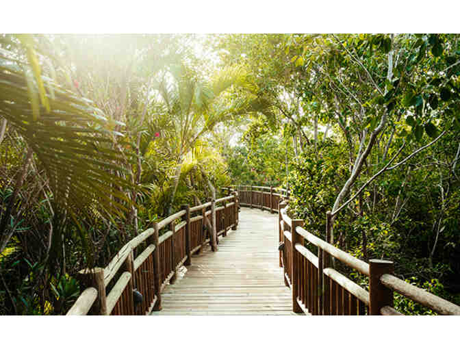 Riviera Maya/Cancun - Eight Days & Seven Nights at The Grand Bliss