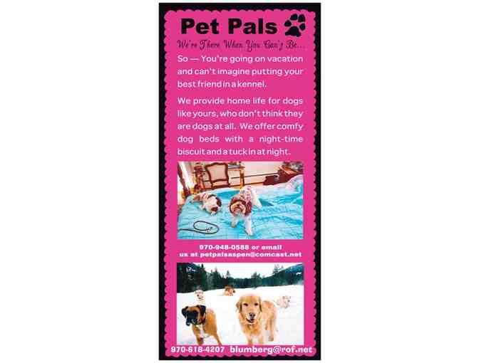 Dog hike with Aspen Pet Pals