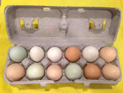 6 weeks of Organic Local Eggs