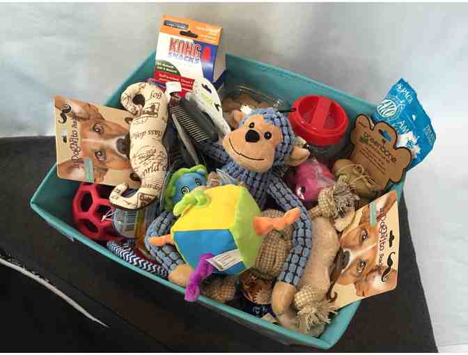 For the Dogs * Fourth Grade * Muehlhauser