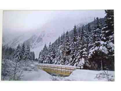 Matt Blair Original Photo - Alaskan Winter "Life is Good"