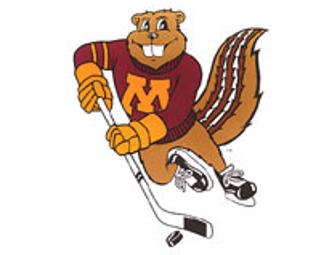University of Minnesota Golden Gopher sports package