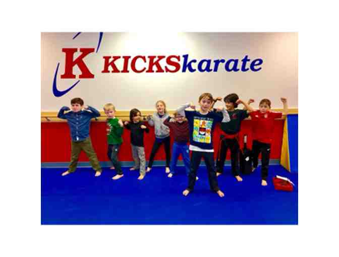 Kicks Karate Birthday Party - Photo 1