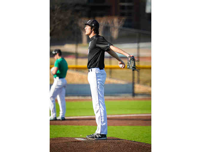 Looking for some great action shots for your Little Dragon?