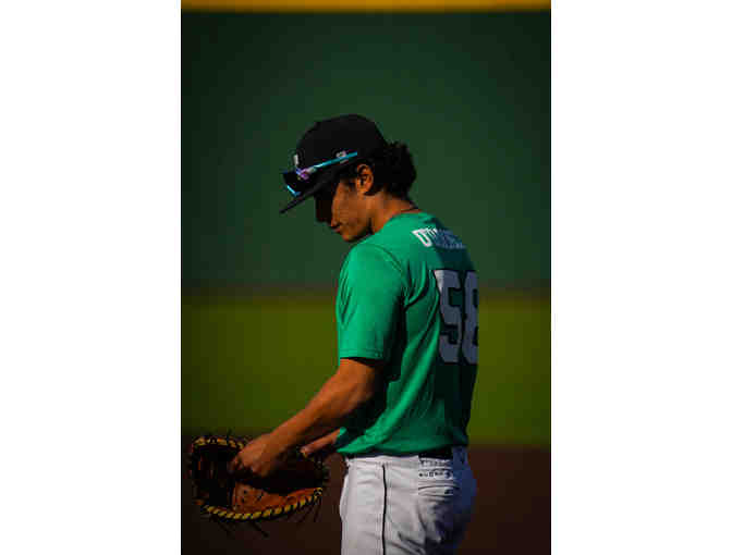 Looking for some great action shots for your Little Dragon?