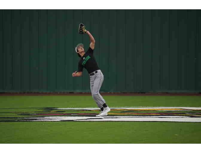 Looking for some great action shots for your Little Dragon?