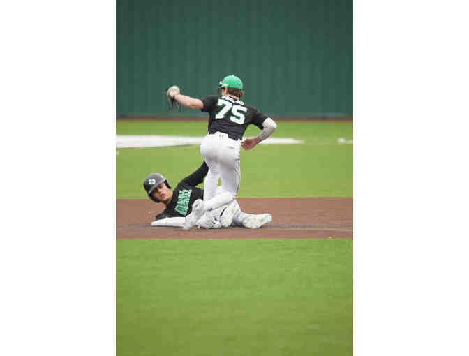 Looking for some great action shots for your Little Dragon?