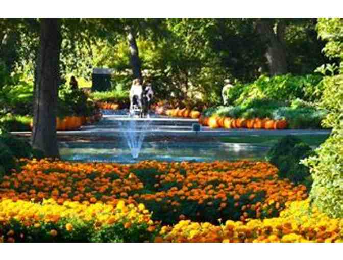 See the Beauty of the Dallas Arboretum and DIne after at Mesero