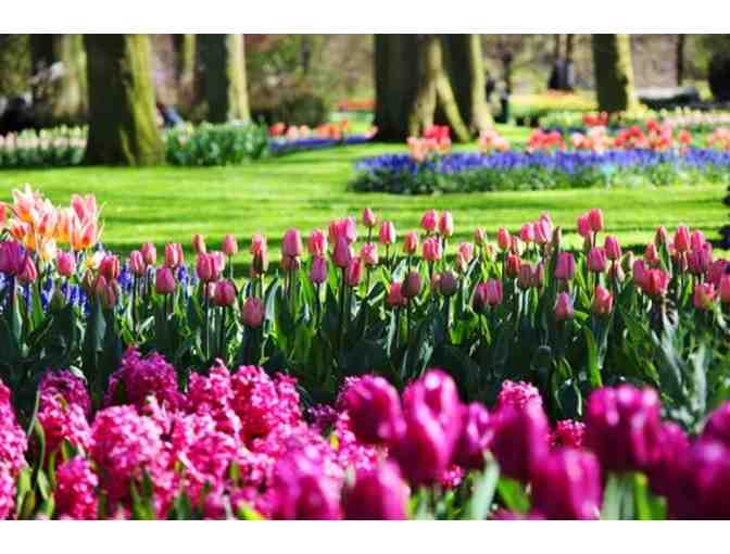 See the Beauty of the Dallas Arboretum and DIne after at Mesero