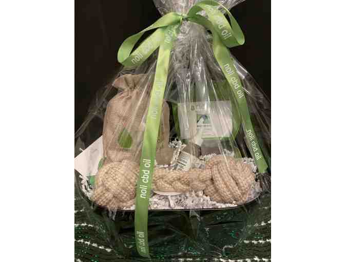 Noli Wellness for your pet