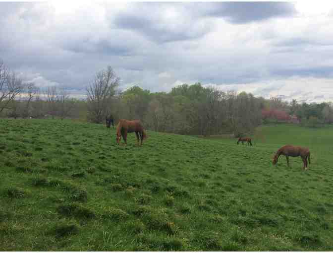 Trail Ride at Waredaca Horse Farm - Laytonsville, MD