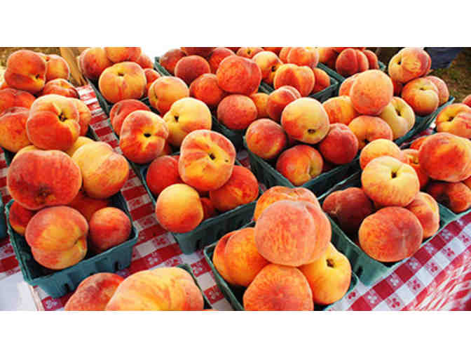 Cape Ann Farmer's Market Membership and Tote