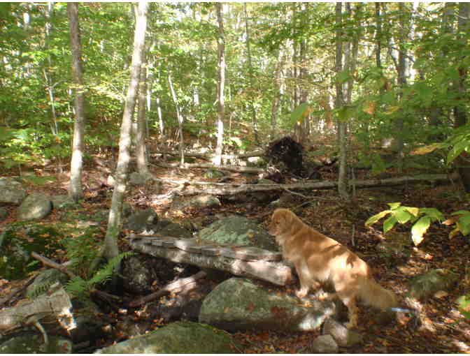 Private Tour of Dog Town Watershed with Habitat Expert, Eric Hutchins