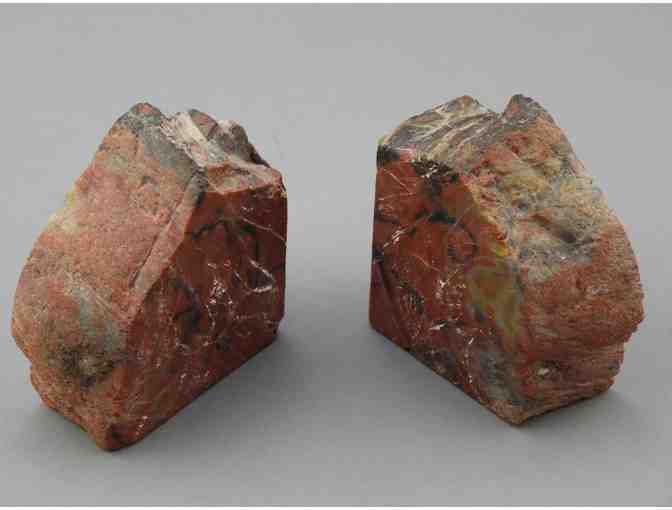 Gorgeous Petrified Wood Book Ends
