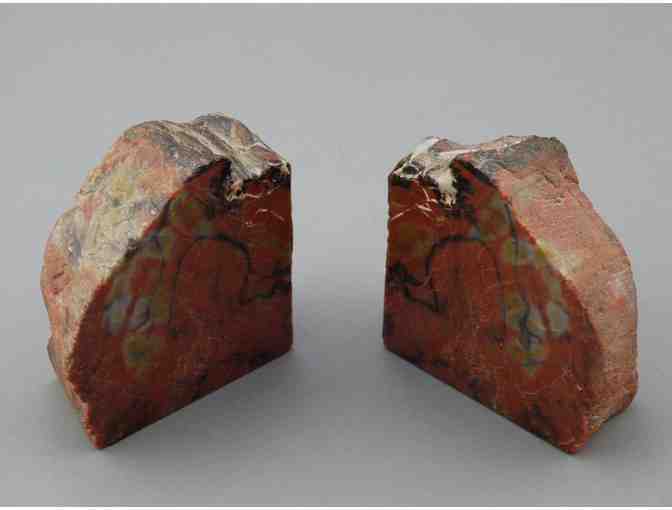 Gorgeous Petrified Wood Book Ends