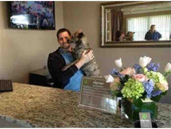 Treat your Dog Right Basket - w/Doggie Depot Gift Certificate