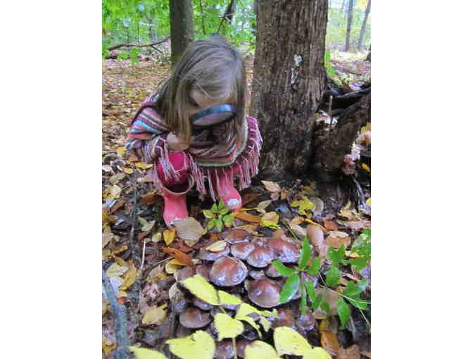 Give a Classroom the Chance to Adventure & Wonder