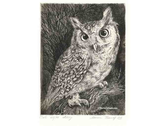 Owl Etching - Framed Print