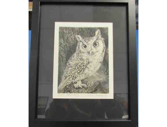 Owl Etching - Framed Print