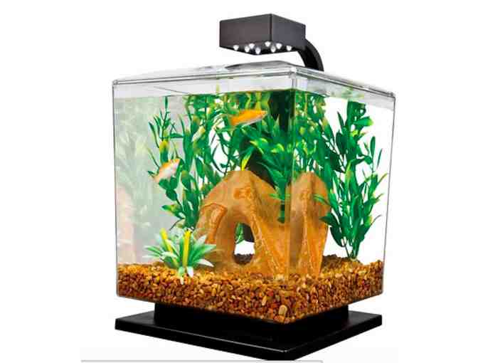 Tetra, 1.5-Gallon Aquarium Kit from Animal Krackers