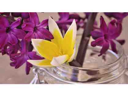 60 Minute Flower Essence Session for Health and Wellness