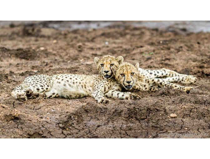 6 Day - 6 Night South African Photo Safari for 2