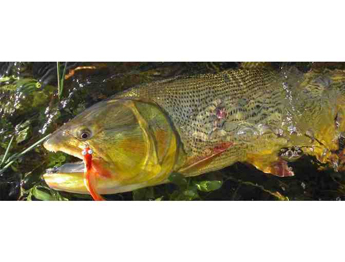 3 Day - 4 Night Golden Dorado Fly Fishing Trip for Two