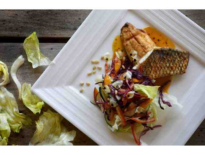 3 Day - 4 Night Golden Dorado Fly Fishing Trip for Two