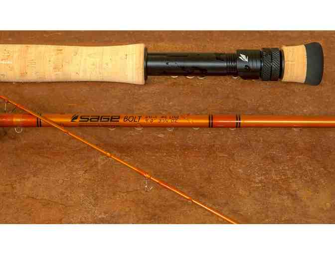 Sage BOLT Series - 8 Weight (890-4) - 4 piece fly fishing rod