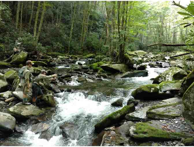 Great Smoky Mountains Fly Fishing and Cabin Package