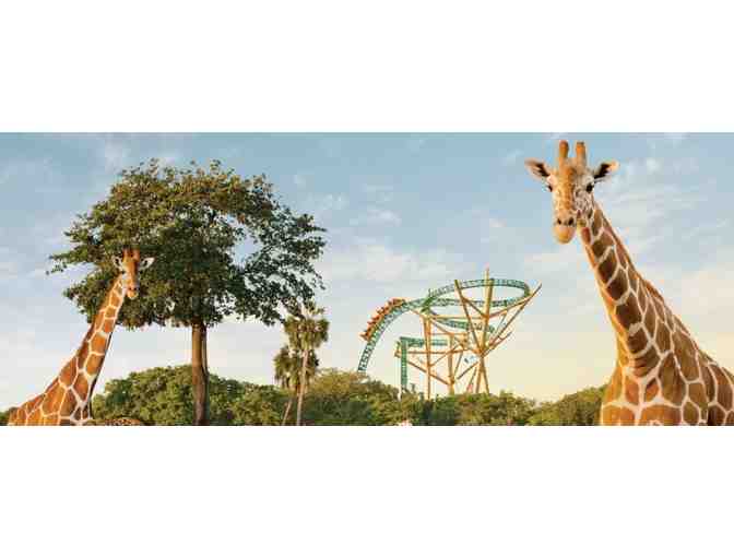 Busch Gardens Tampa Bay Single Day Admission for two