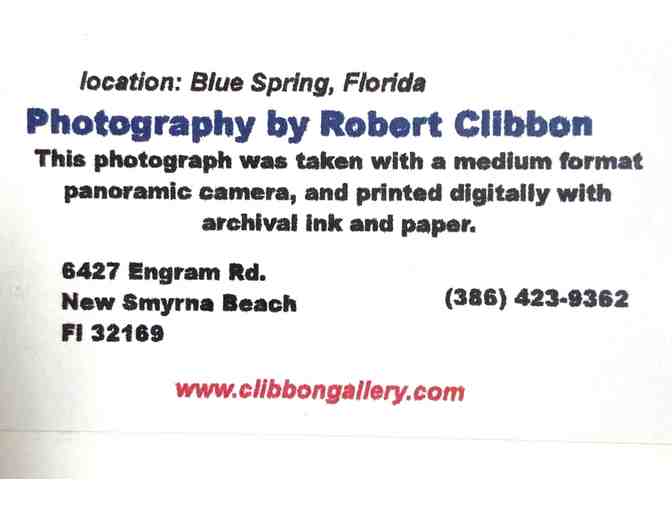 River Scene- Limited Edition Print by Robert Clibbon