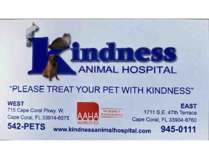 Kindness Animal Hospital Gift Basket