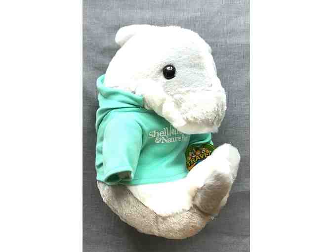 Shell Factory Nature Center