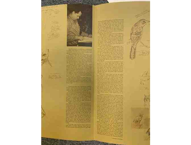 Saw Whet Owls Giclee Print by Ray Harm