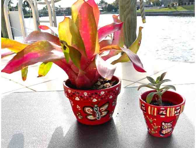 Hand Painted Clay Pots with Plants