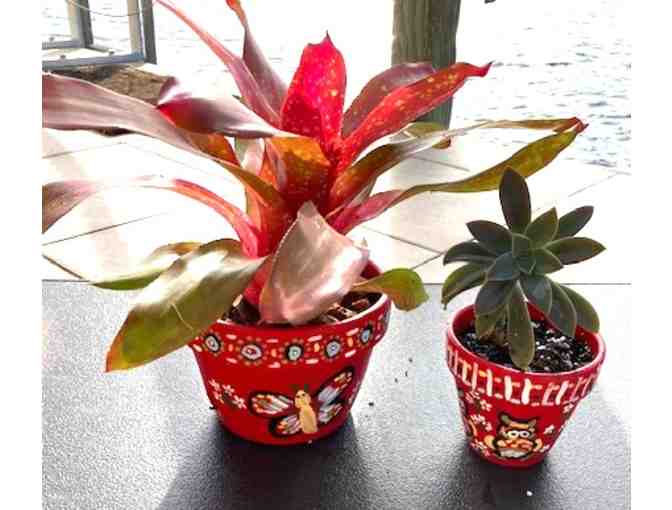 Hand Painted Clay Pots with Plants