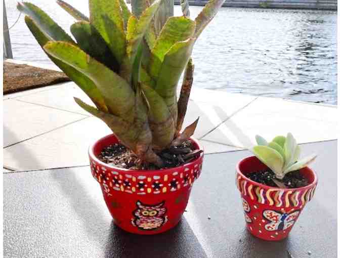 Hand Painted Clay Pots with Plants