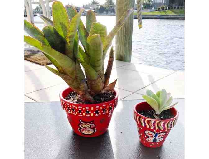 Hand Painted Clay Pots with Plants