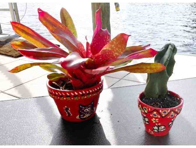 Hand Painted Clay Pots with Plants