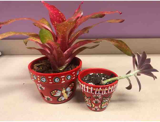 Hand Painted Clay Pots with Plants