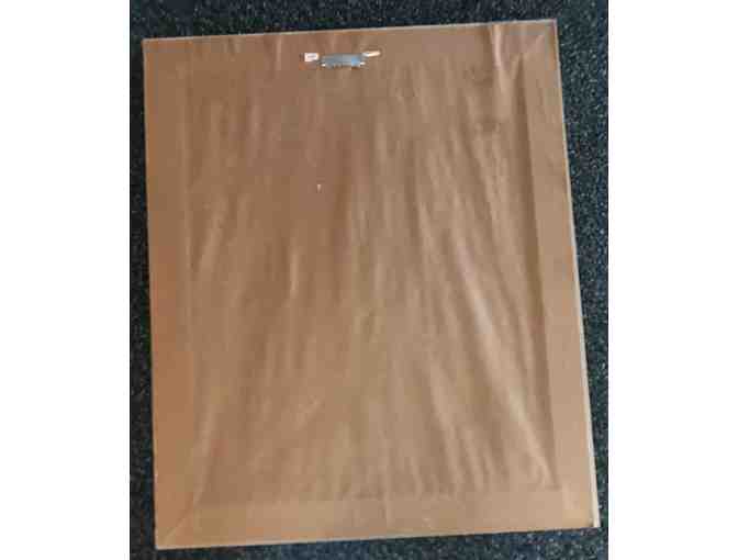 Set of 3 Parrot Watercolor Framed Prints