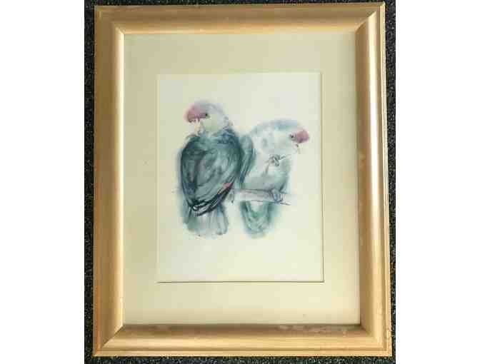 Set of 3 Parrot Watercolor Framed Prints