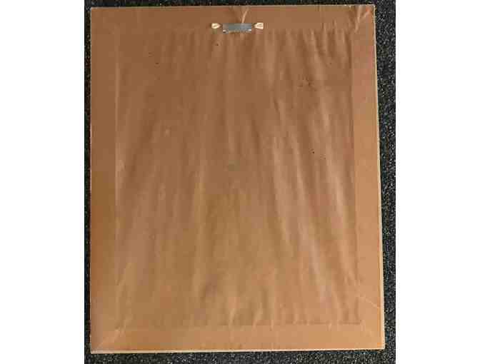 Set of 3 Parrot Watercolor Framed Prints