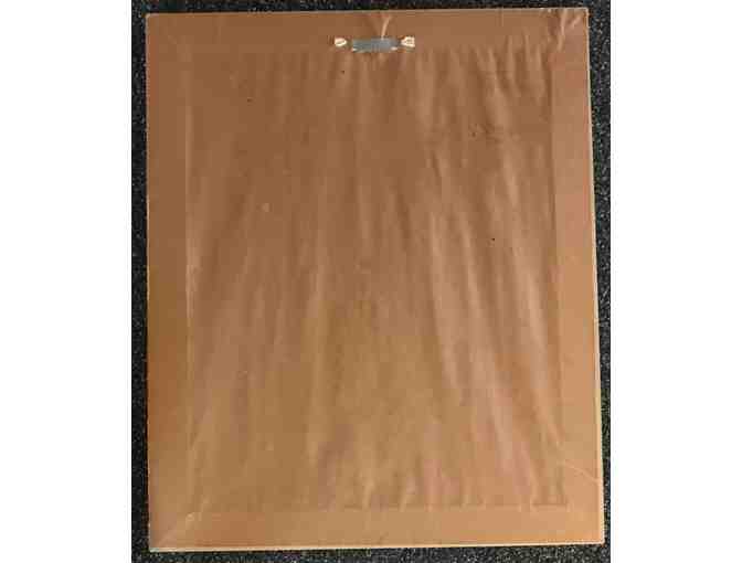 Set of 3 Parrot Watercolor Framed Prints