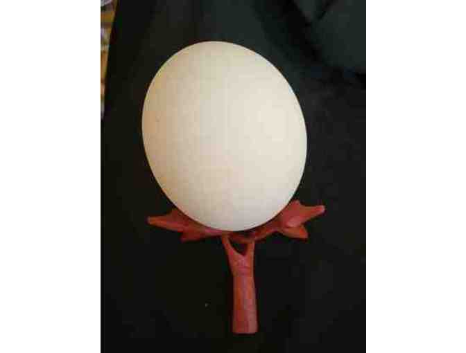 Gorgeous Ostrich Egg on beautiful wooden stand - Photo 1