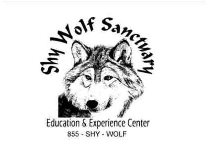 Shy Wolf Sanctuary - Photo 1